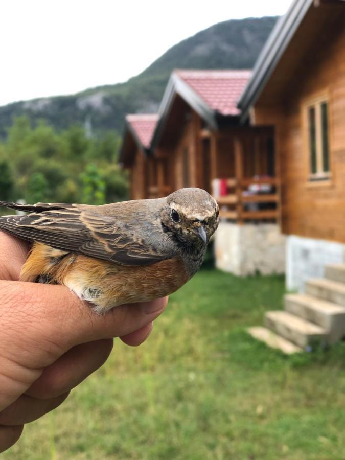 Orahovo Cottages Virpazar Esterno foto